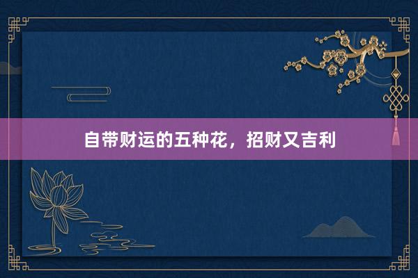 自带财运的五种花,招财又吉利